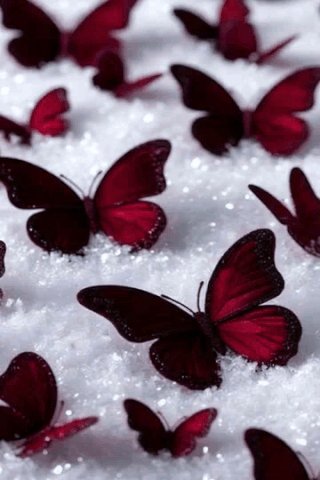 file_101813085
