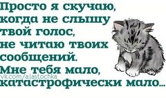 40dddfc1813cd79888f3232ca2c30ae6
