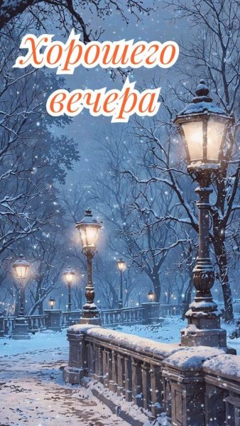 IMG 20260211 195704 529
