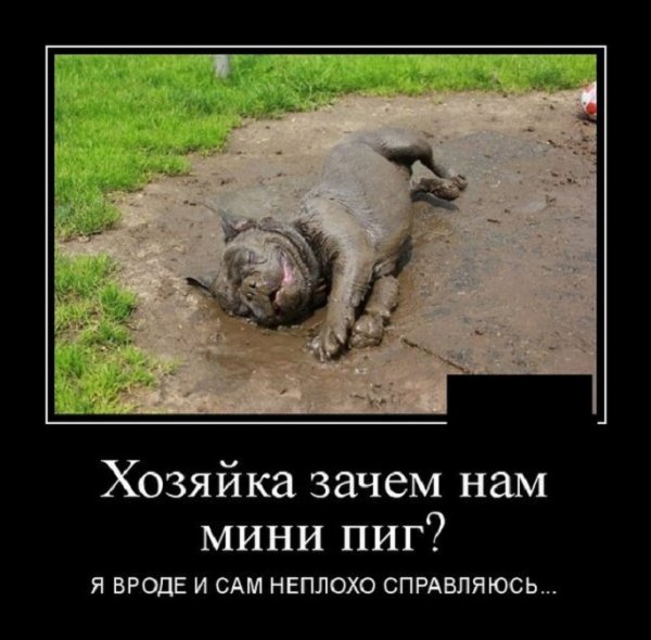 Да уж