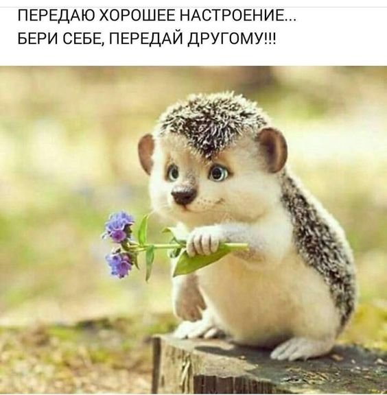 image (2)