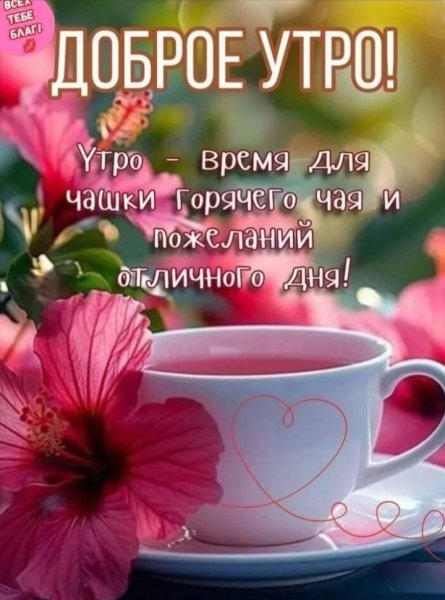 IMG 20260424 215238