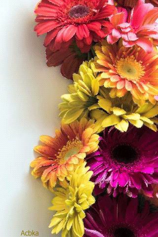 file_76349739
