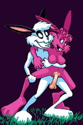 03