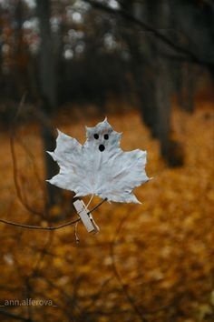file_94968548