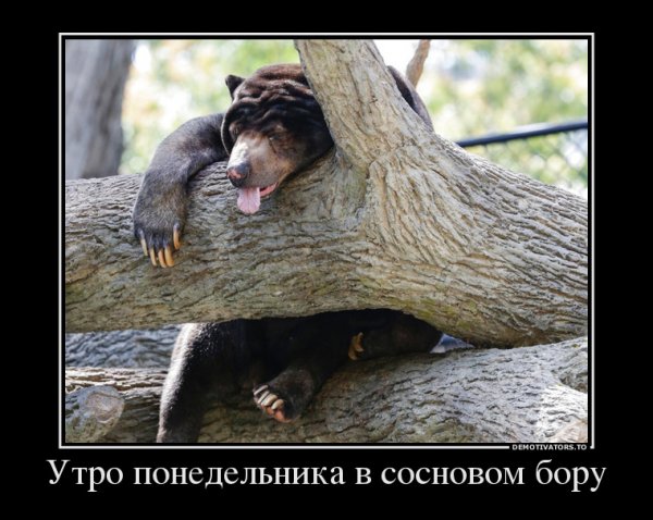 file_69725116