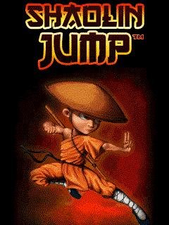ShaolinJump nok 320x240