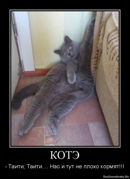 КОТЭ