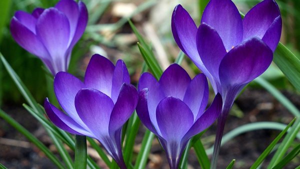 Image (29)