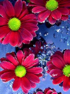 file_57436902