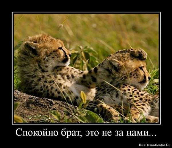 Спокойно,брат, это не за нами