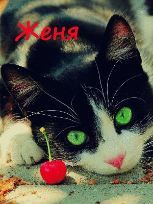 Женя