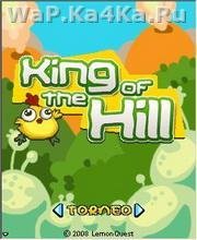 King Of The Hill