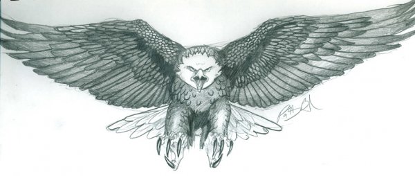 image(45)