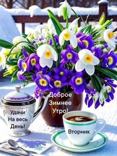 IMG-20240220-WA0020