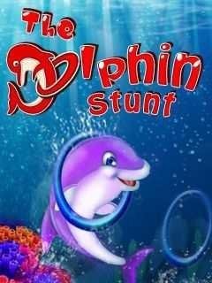 The Dolphin Stunt Samsung GT-S5222