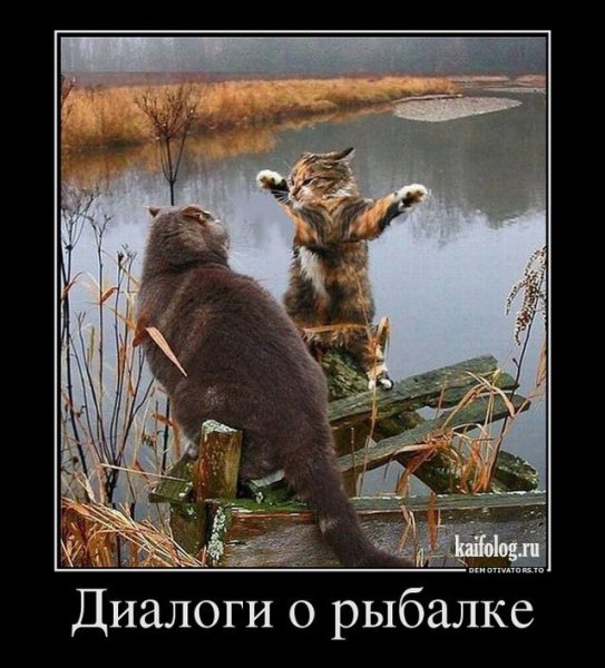 file_66138578