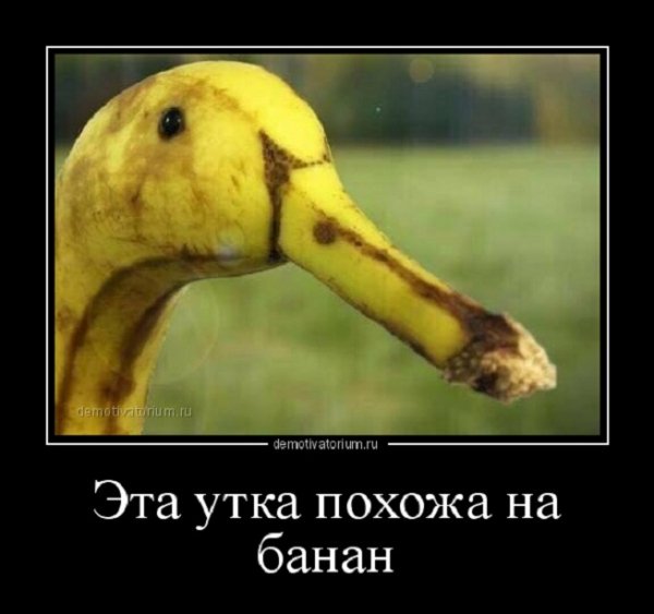 file_84478893