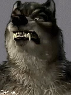 ВОЛК