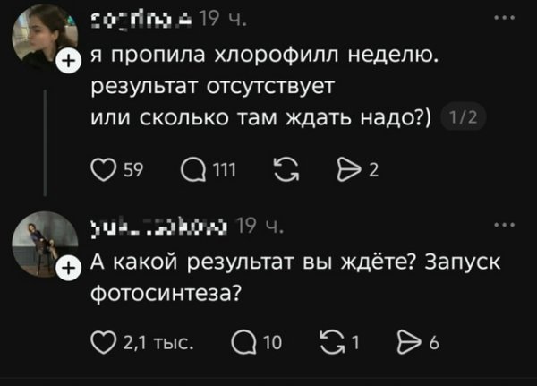 file_102387955