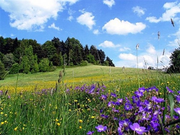 file_82572565