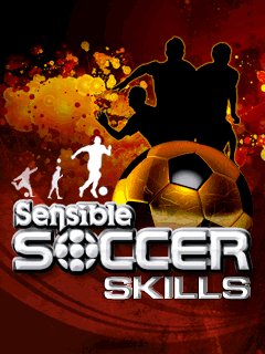 SensibleSoccerSkills