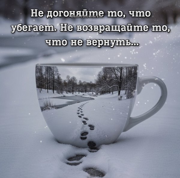 IMG 20260315 030742