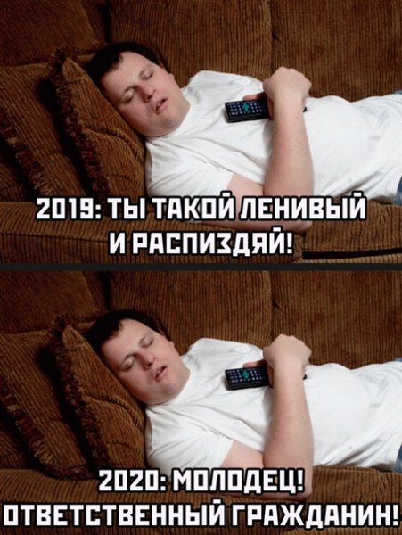 file_81066224