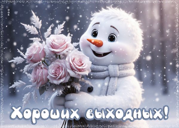 IMG 20260126 001217