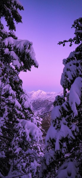 file_92531262