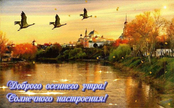 Анимированная открытка открытки про
