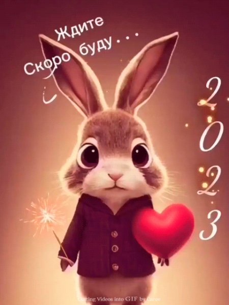 file_92324867