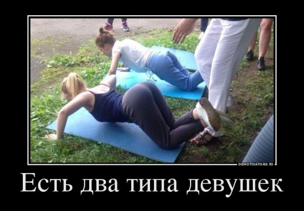 file_64315309