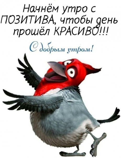 Начнём утро с позитива, чтобы день прошел красиво...