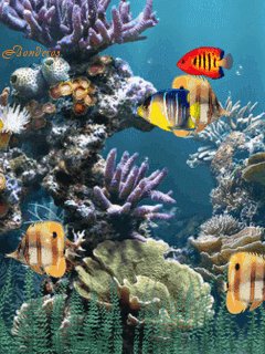 file_51488568