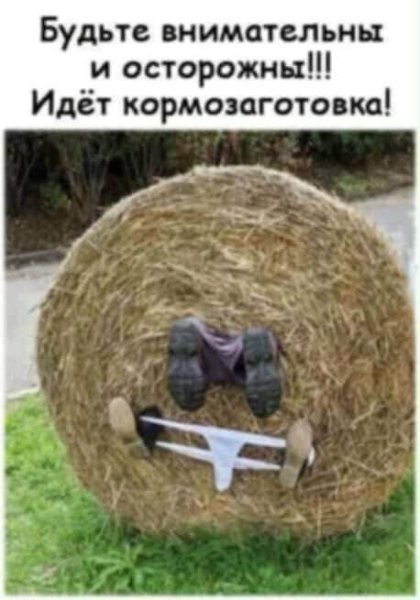 FB IMG 1779123790412