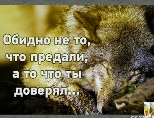 file_100636096