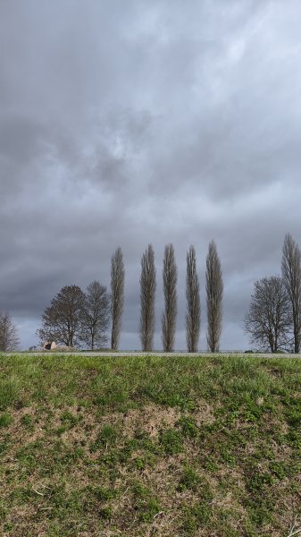 IMG 20260331 150726