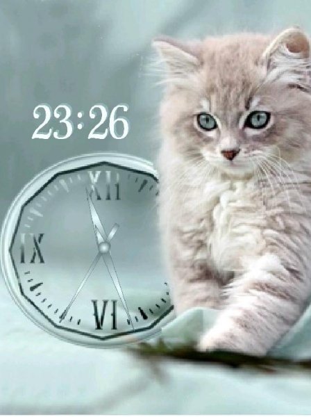 Котенок