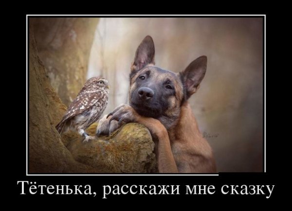 nZDZohBJcbk