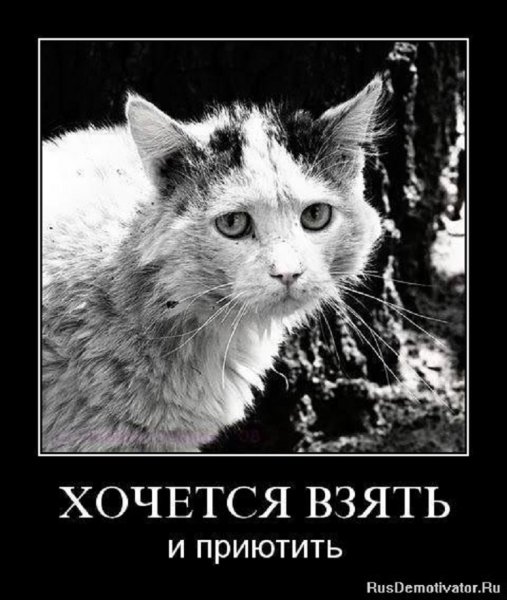 Так в чём же дело?
