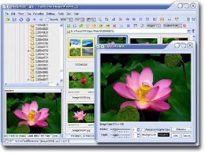 FastStone.Image.Viewer.4.2