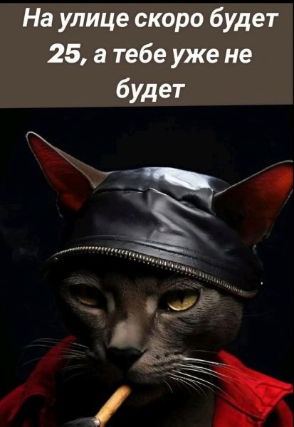 FB IMG 1775929236504