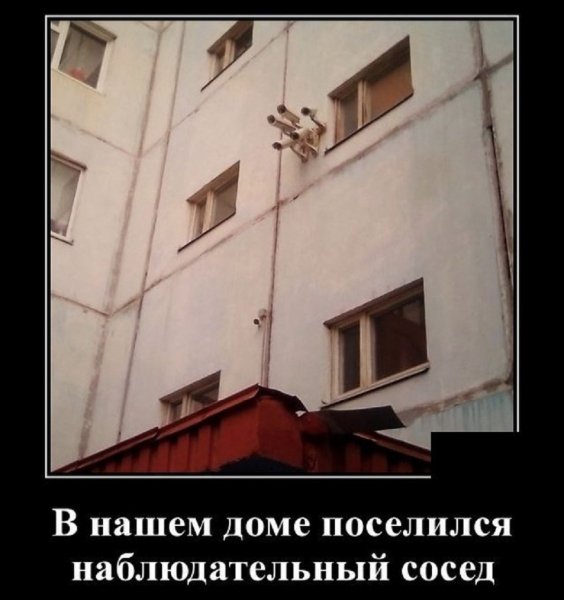 В нашем доме поселился наблюдательный сосед