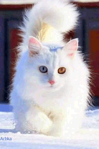 file_75417269