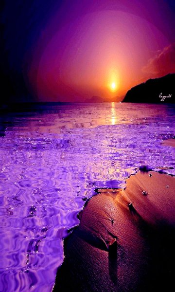 file_52577033