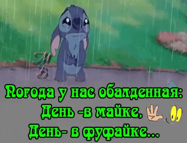 file_78455893