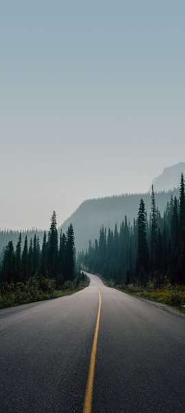 file_96122653