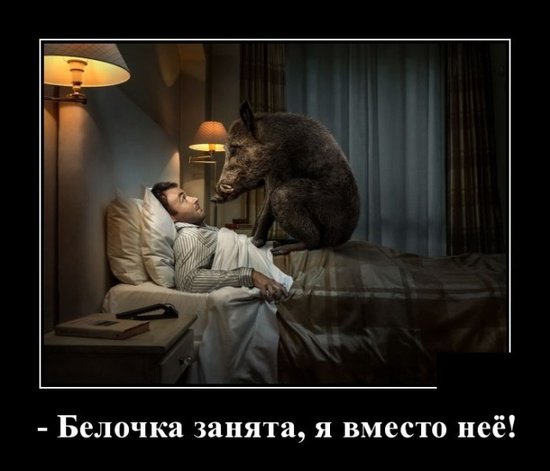 file_78239260