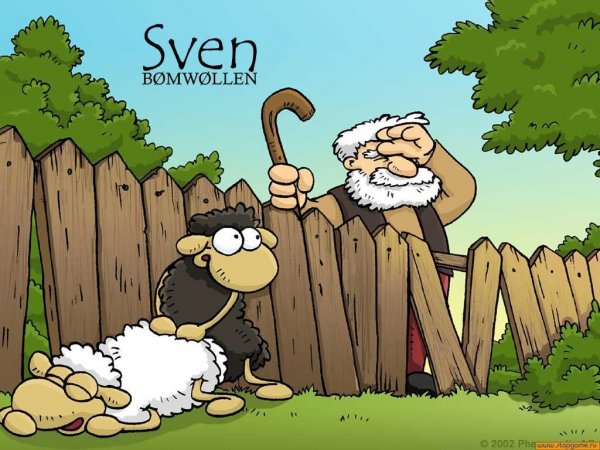 SVEN ебать овец